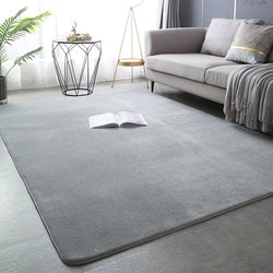 Modern Minimalist Coral Fleece Carpet