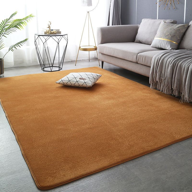 Modern Minimalist Coral Fleece Carpet