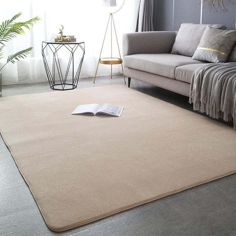 Modern Minimalist Coral Fleece Carpet