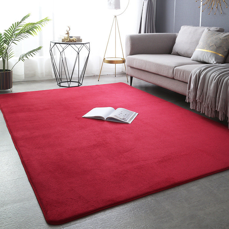 Modern Minimalist Coral Fleece Carpet