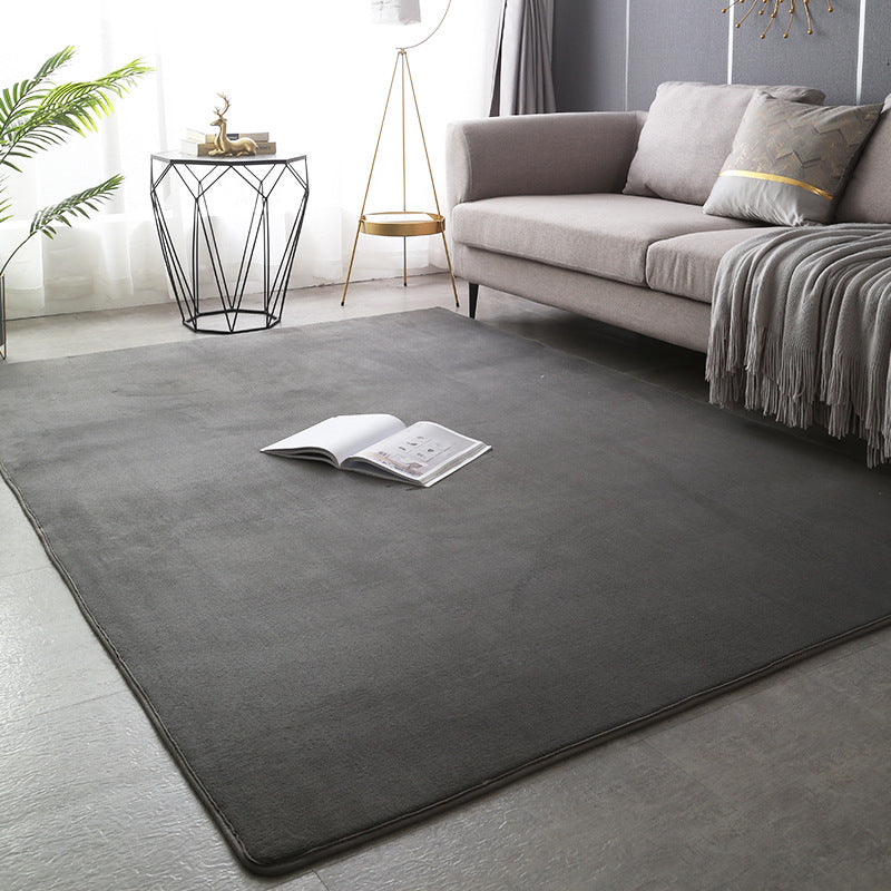 Modern Minimalist Coral Fleece Carpet