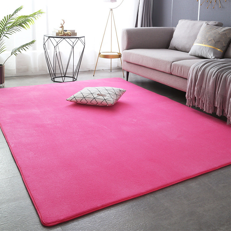 Modern Minimalist Coral Fleece Carpet