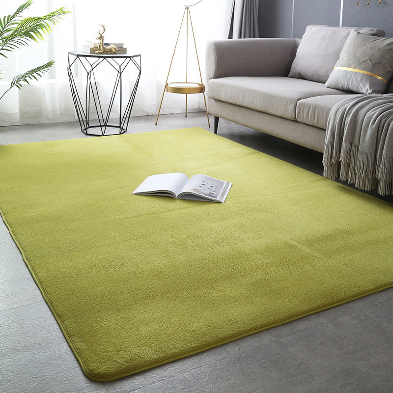 Modern Minimalist Coral Fleece Carpet