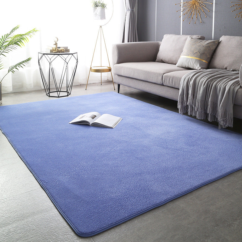 Modern Minimalist Coral Fleece Carpet