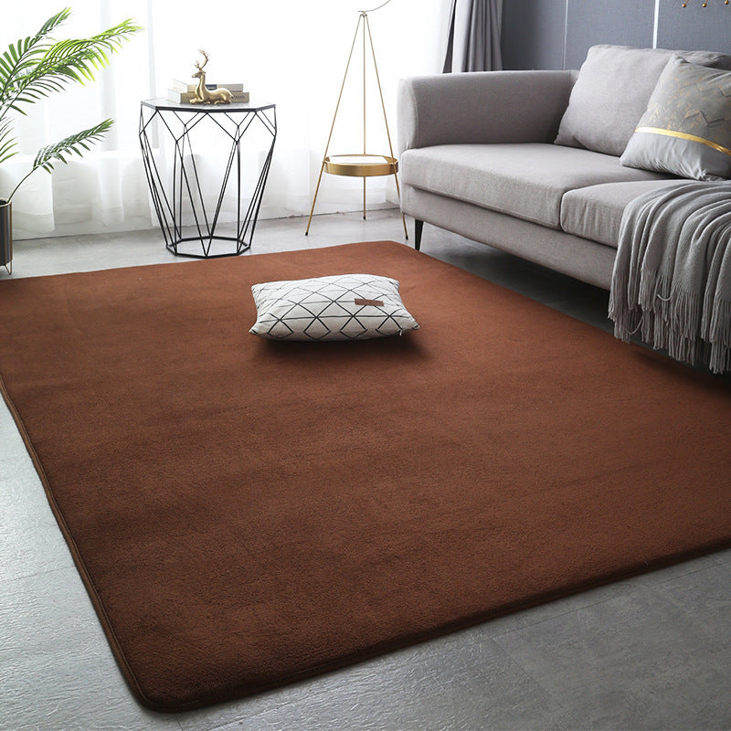 Modern Minimalist Coral Fleece Carpet