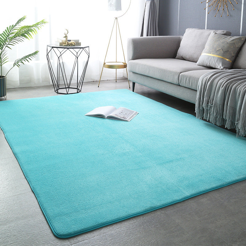 Modern Minimalist Coral Fleece Carpet