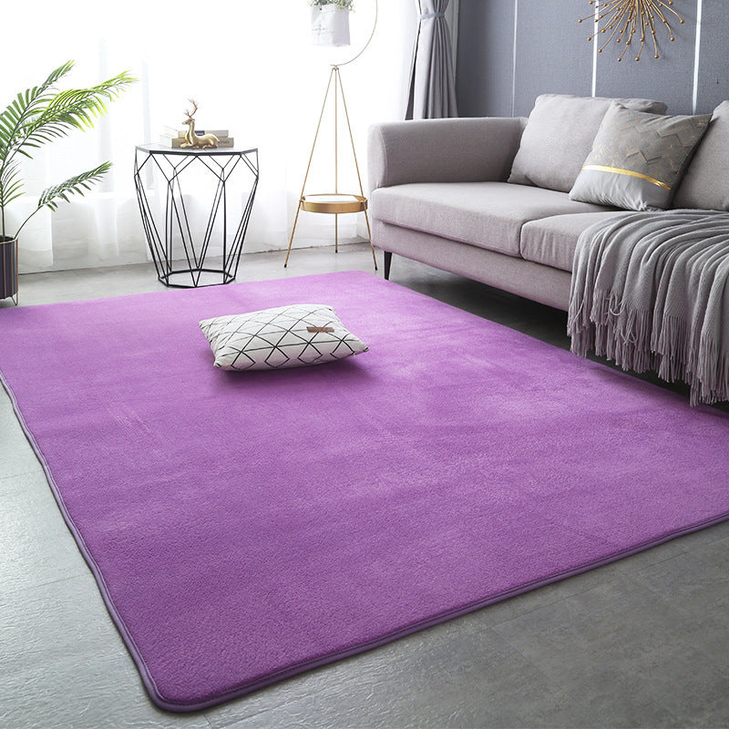 Modern Minimalist Coral Fleece Carpet